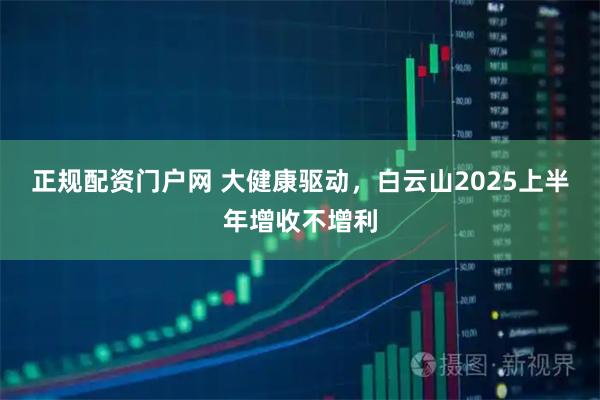 正规配资门户网 大健康驱动，白云山2025上半年增收不增利